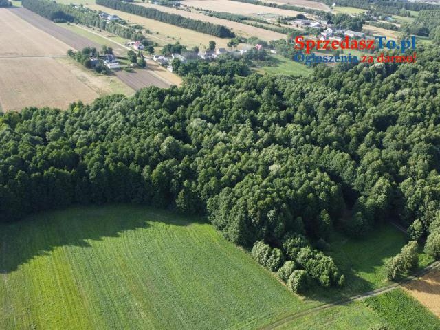 SPRZEDAŻ GRUNTU – JÓZEFOWO, GMINA SŁUPCA, POWIAT SŁUPECKI