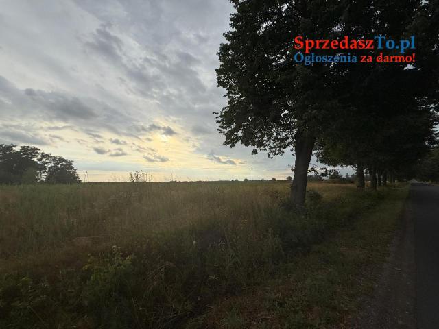 Działka budowlana 2290 m² – Kolonia Sługocin, gm. Lądek