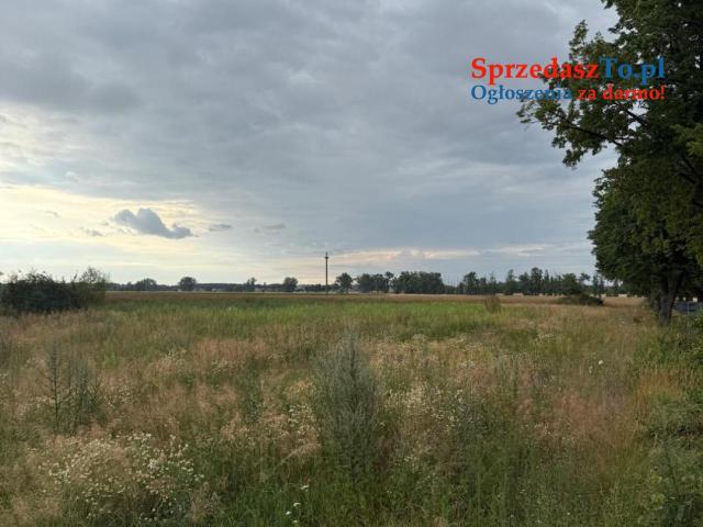 Działka budowlana 2290 m² – Kolonia Sługocin, gm. Lądek - 9