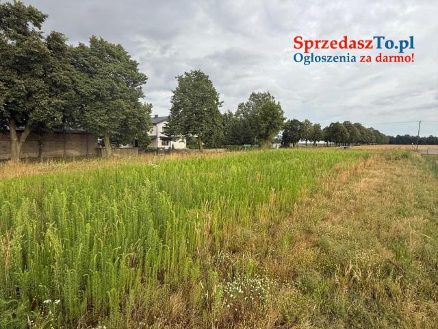 Działka budowlana 2290 m² – Kolonia Sługocin, gm. Lądek - 10