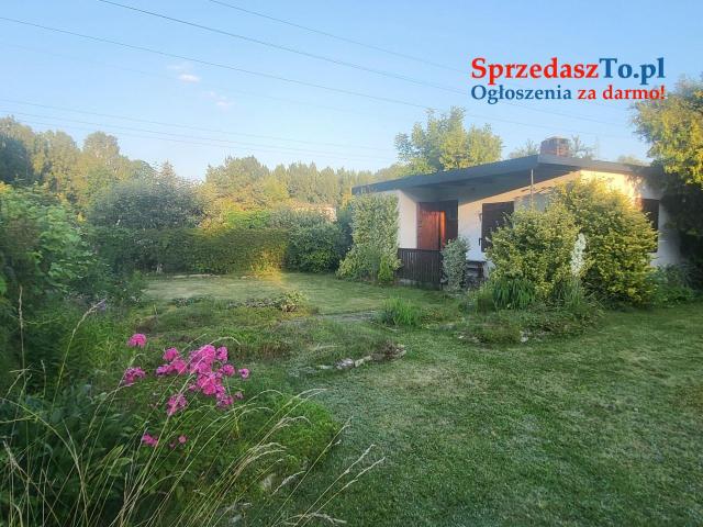 Działka rekreacyjna ROD Wieczorka Chorzów - 6