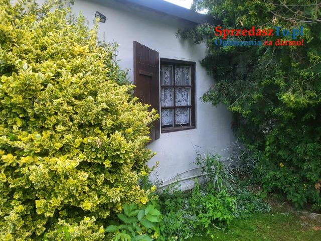 Działka rekreacyjna ROD Wieczorka Chorzów - 7