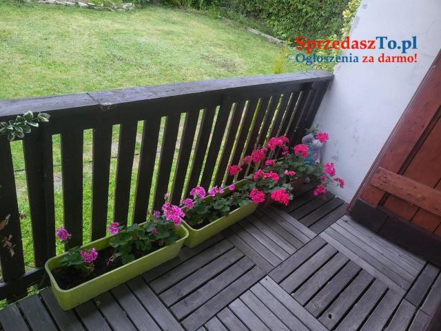 Działka rekreacyjna ROD Wieczorka Chorzów - 8