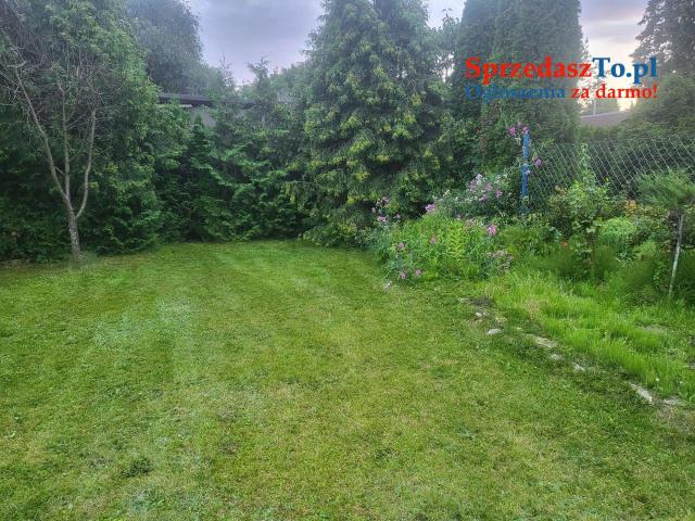 Działka rekreacyjna ROD Wieczorka Chorzów - 9