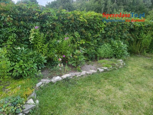 Działka rekreacyjna ROD Wieczorka Chorzów - 10