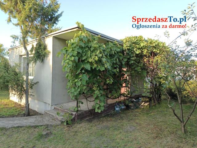 Działka ROD Ogrodowa Konin - 6