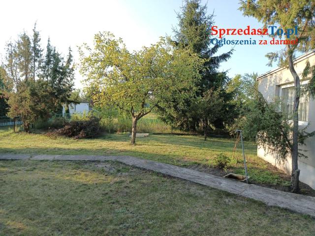 Działka ROD Ogrodowa Konin - 9