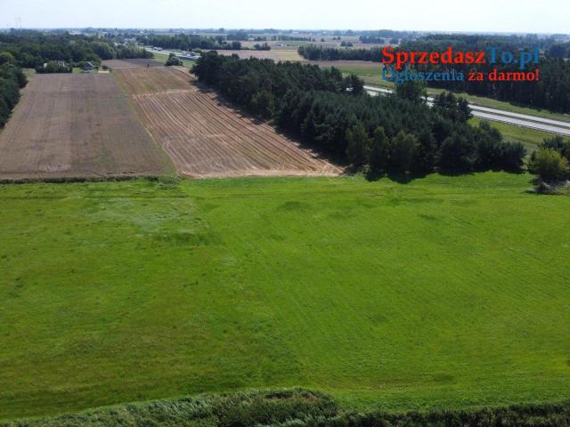 DZIAŁKA INWESTYCYJNA W TRAKCIE PRZEKSZTAŁCENIA  • Lokalizacja: Borki, gmina Słupca