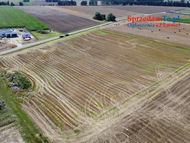 Oferta sprzedaży działki – Dziedzice, gmina Lądek