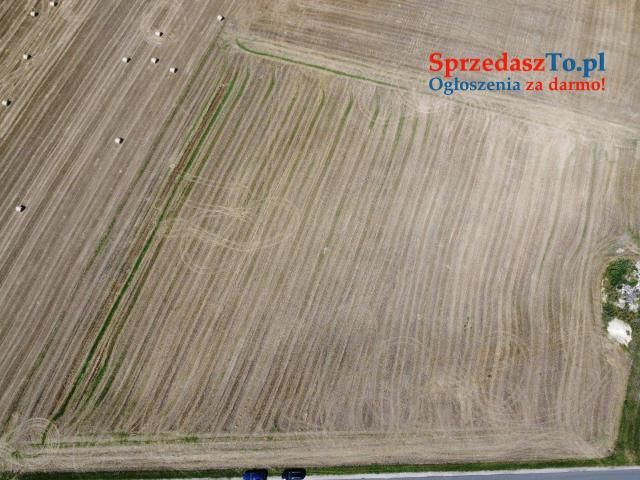 Oferta sprzedaży działki – Dziedzice, gmina Lądek