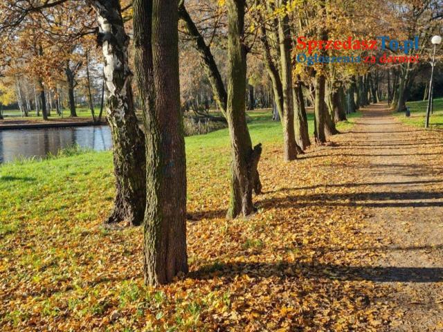 Mieszkanie 3 Pokojowe Parter - 6