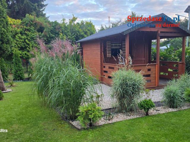 Witam sprzedam działkę Rod pow.300m na działce woda prąd domek drewniany z tarasem. - 7