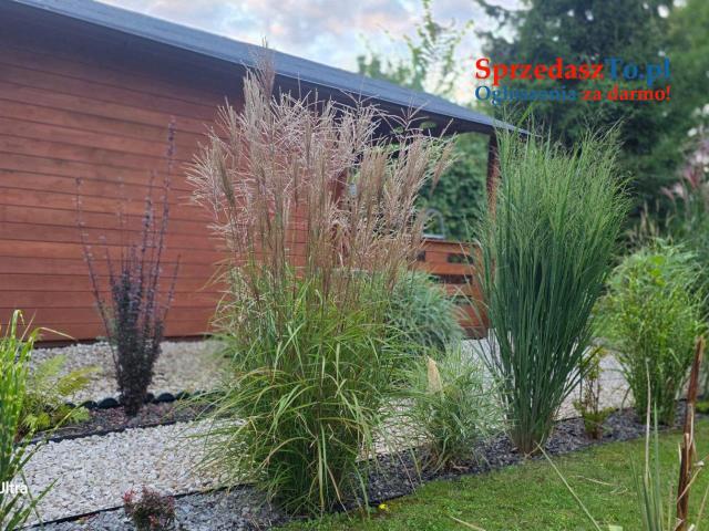 Witam sprzedam działkę Rod pow.300m na działce woda prąd domek drewniany z tarasem. - 8