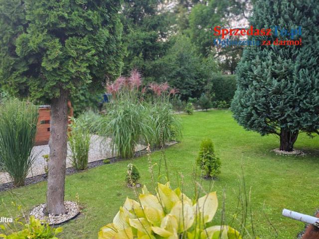 Witam sprzedam działkę Rod pow.300m na działce woda prąd domek drewniany z tarasem. - 9