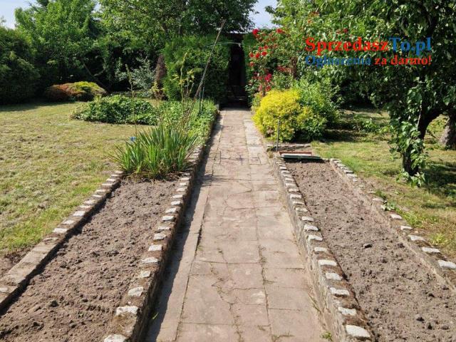 Sprzedam Działkę ROD 580 m w Janowcu Wielkopolskim - 9