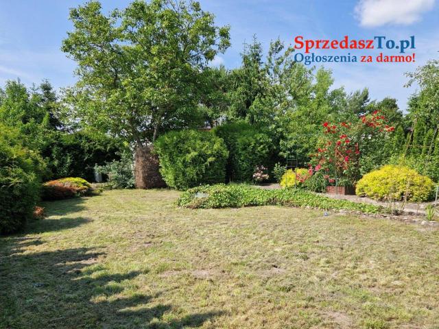 Sprzedam Działkę ROD 580 m w Janowcu Wielkopolskim - 10