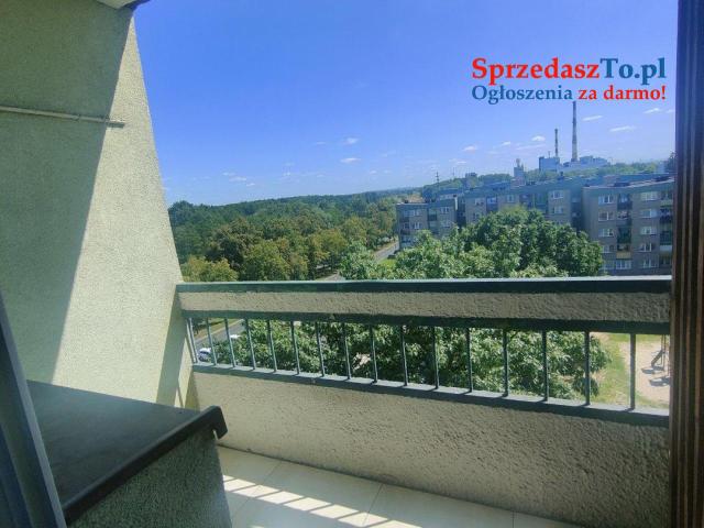 Mieszkanie 2 pokojowe na wynajem osiedle G - 9