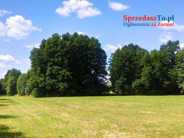 Działka w Chwalęcicach o powieszchni 87ar z możliwoscą budowy 5 domów