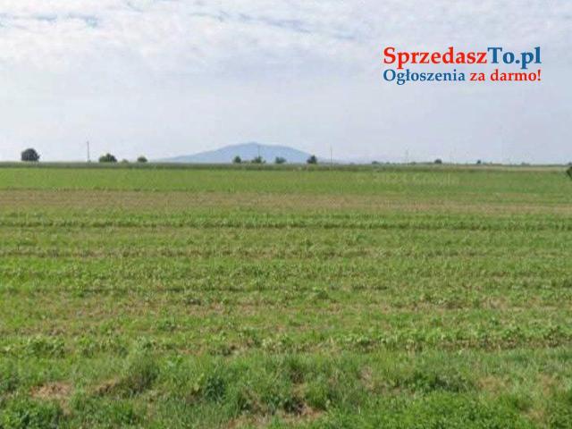 Działki rolne zagrodowe Zachowice gm. Kąty Wrocławskie