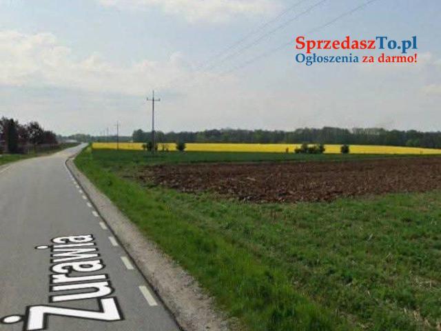 Działki rolne zagrodowe Zachowice gm. Kąty Wrocławskie