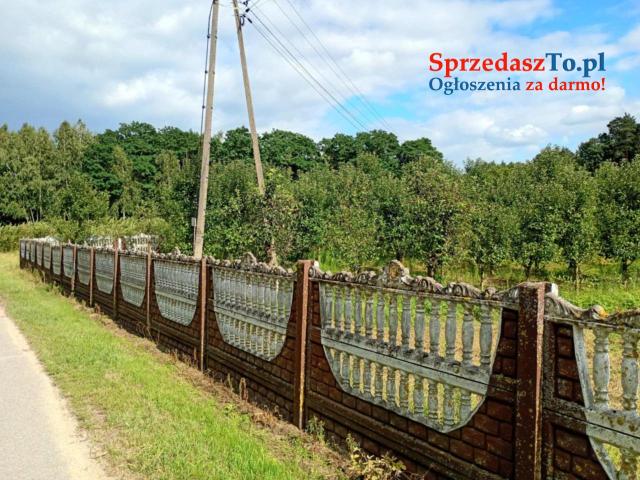 Sprzedam siedlisko z działką - 8