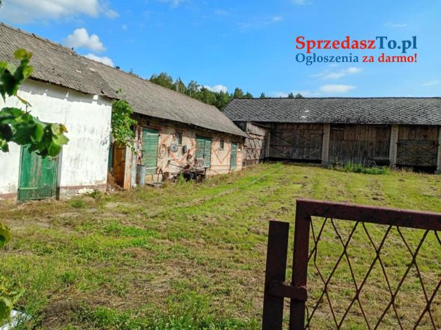 Sprzedam siedlisko z działką - 9