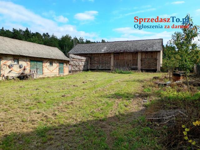 Sprzedam siedlisko z działką - 10