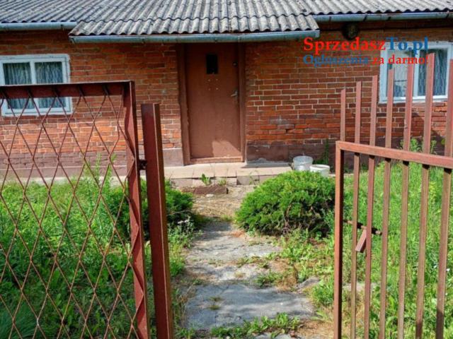 Sprzedam siedlisko z działką - 11