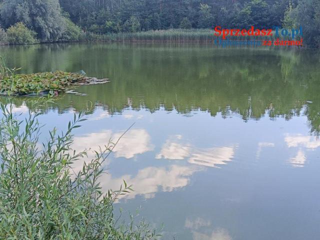 Działka rekreacyjna