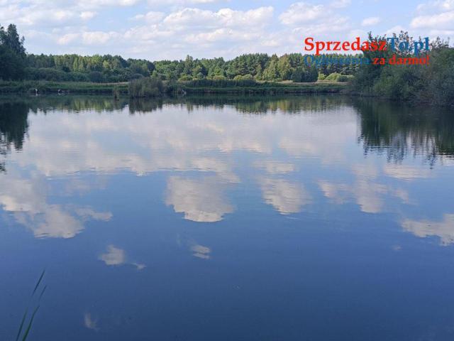 Działka rekreacyjna