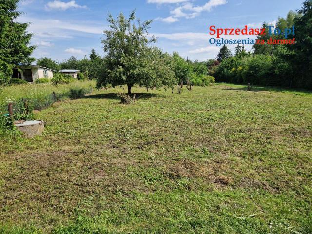 Sprzedam działkę ROD 465m w Janowcu Wlkp - niezabudowana.