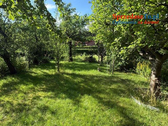 Działka ROD z domkiem – ul. Braille’a, Słupsk - 8