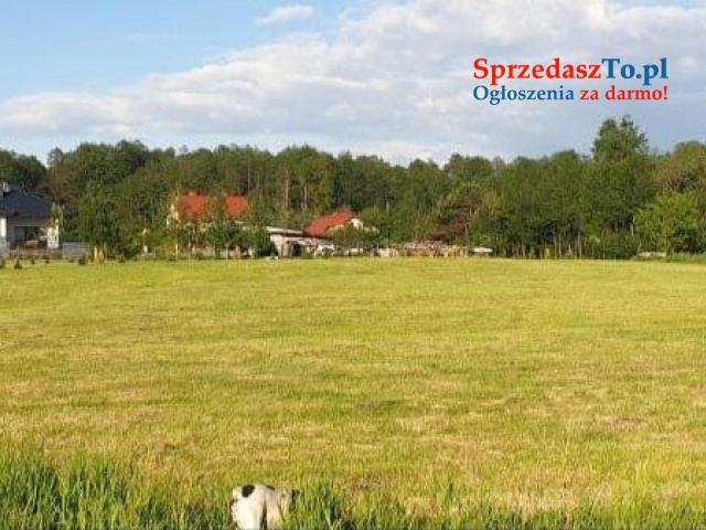 3 działki budowlane