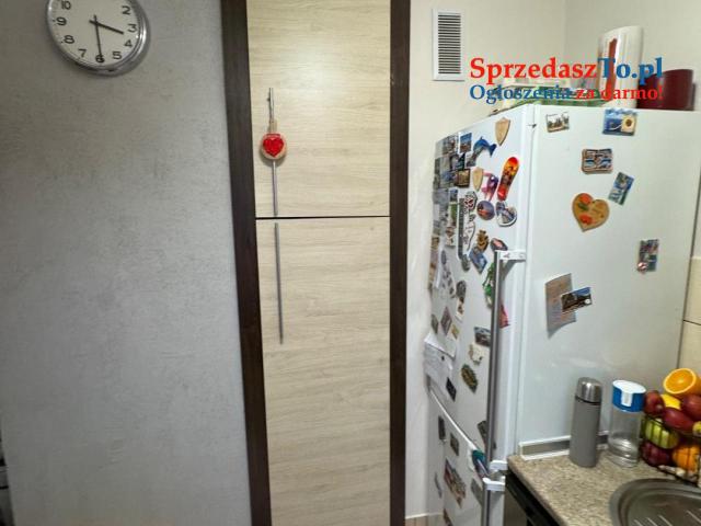 Mieszkanie 2️⃣ pokojowe 43m2, Świdnica. - 10