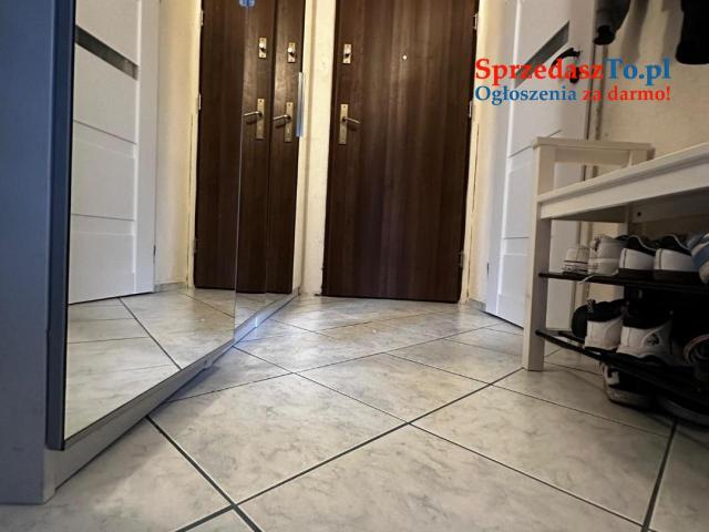 Mieszkanie 2️⃣ pokojowe 43m2, Świdnica. - 11