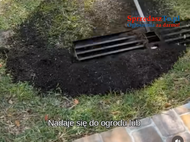 Mieszkanie na wynajem z ogródkiem