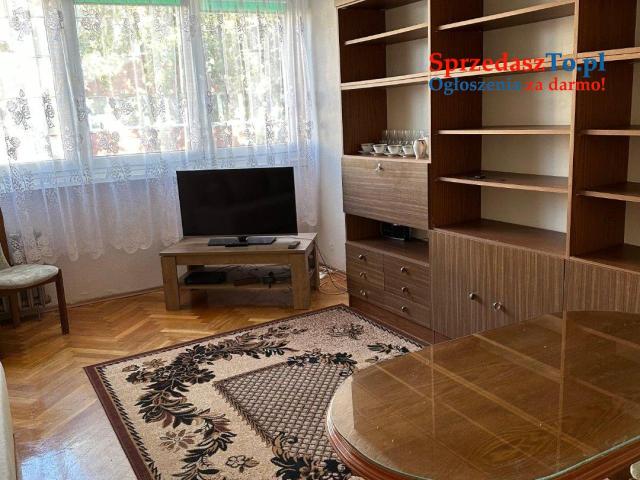 mieszkanie do wynajęcia - 6