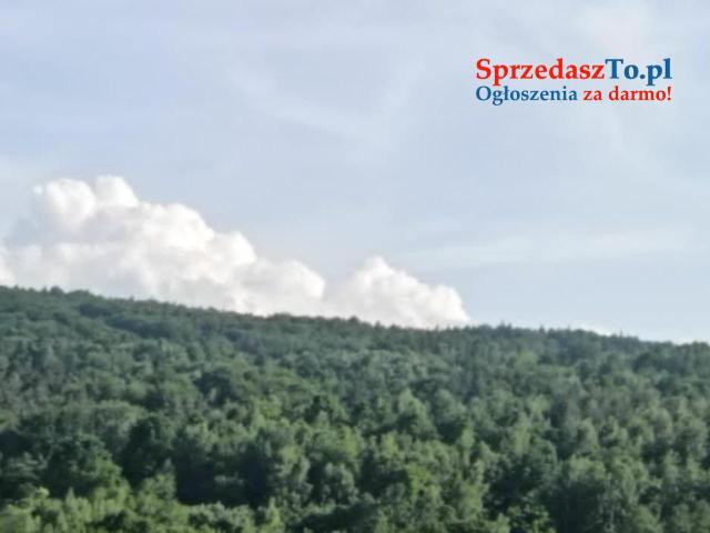 Lipnica Dolna - 7 hektarów 33 ary - 6