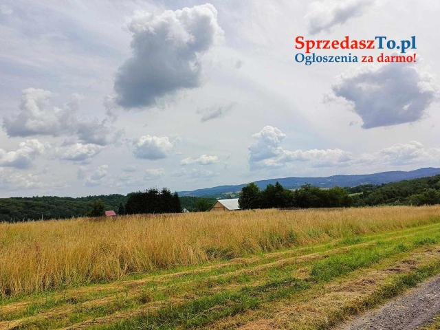 Działka budowlana -Ryglice 30,42 ara