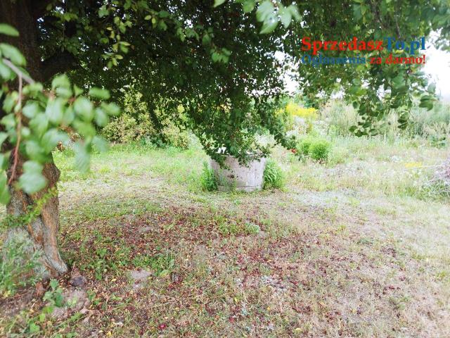 Działka budowlana z domkiem - 9