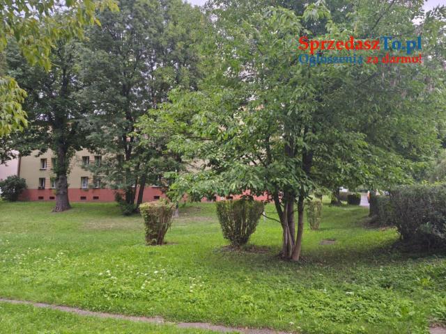 Mieszkanie 3 pokoje z balkonem - 14