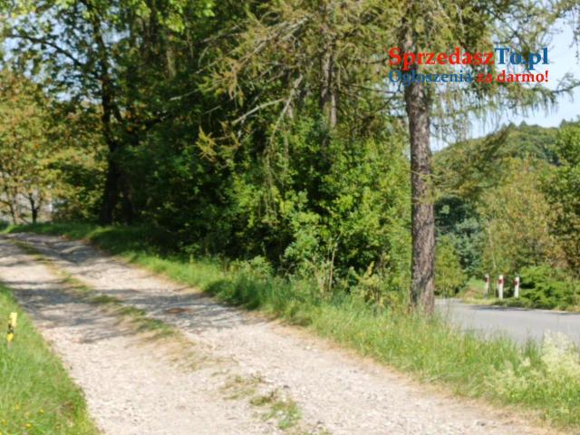 Działka w Janowicach - 6