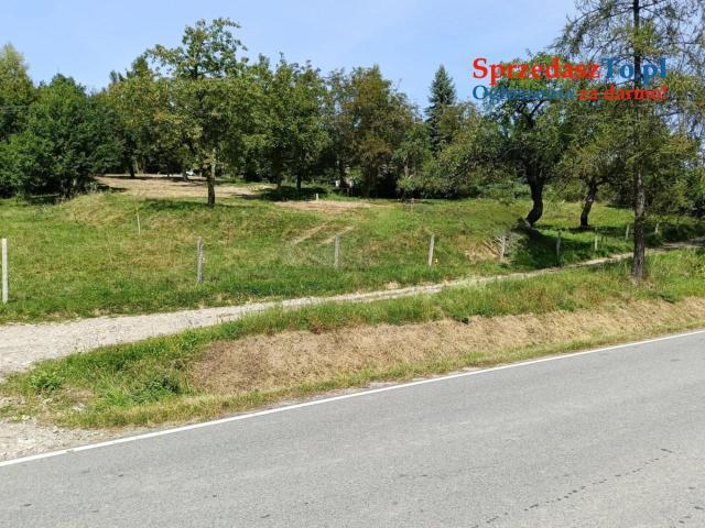 Działka w Janowicach - 8