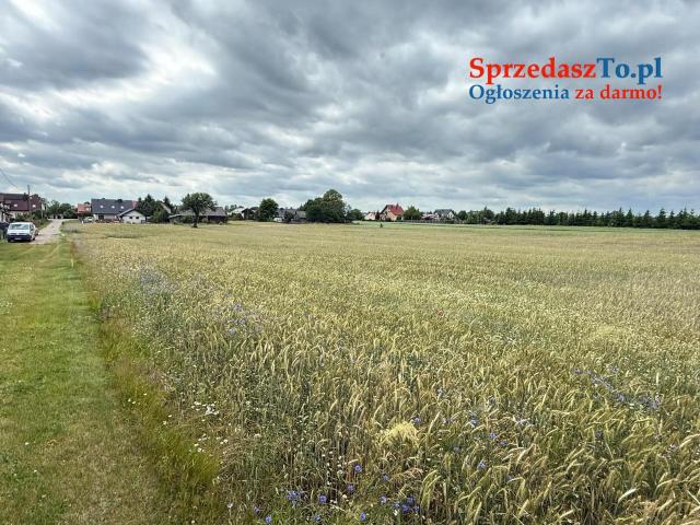 Wyjątkowa działka o powierzchnia działk 348/6i: 3007 m2