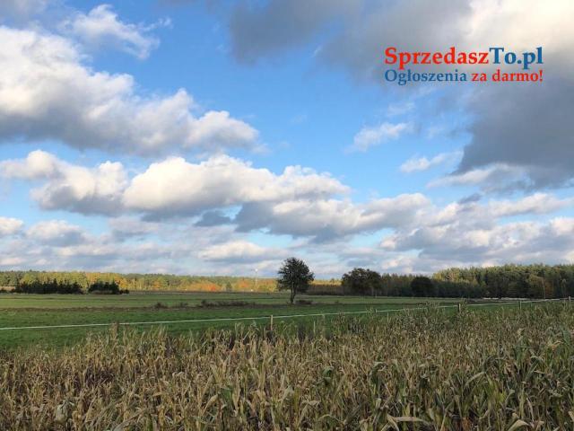 Wyjątkowa działka o powierzchnia działk 348/6i: 3007 m2 - 9