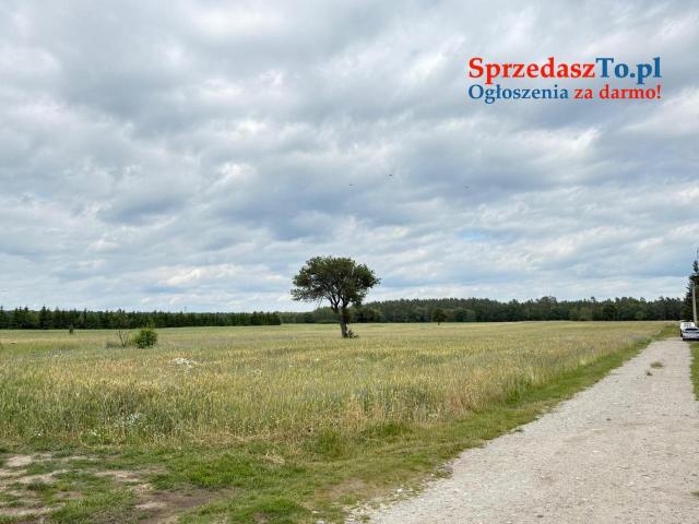 Wyjątkowa działka o powierzchnia działk 348/6i: 3007 m2 - 11