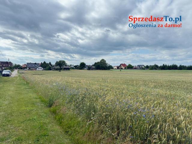 Wyjątkowa działka o powierzchnia działk 348/6i: 3007 m2 - 12