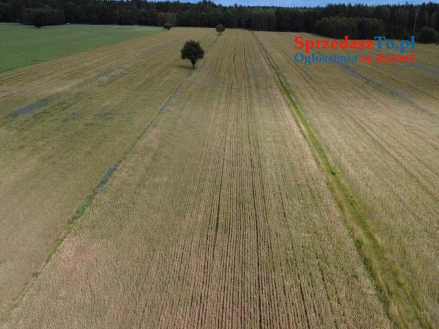 Wyjątkowa działka o powierzchnia działk 348/6i: 3007 m2 - 13