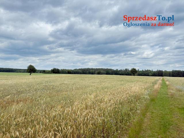 Wyjątkowa działka o powierzchnia działk 348/6i: 3007 m2 - 16