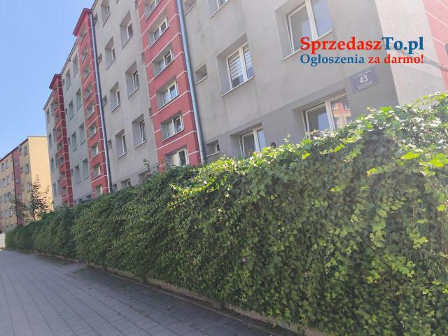 Sprzedam mieszkanie - 13